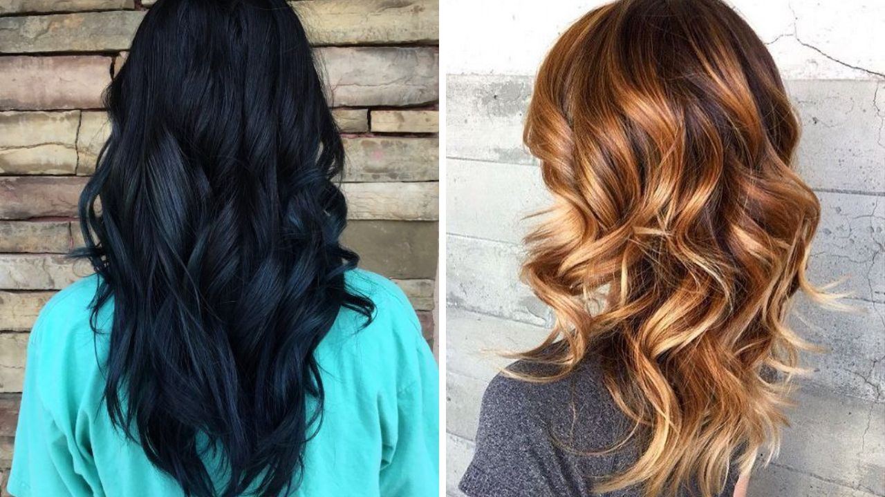 midnight blue and toasted honey brown hair colors